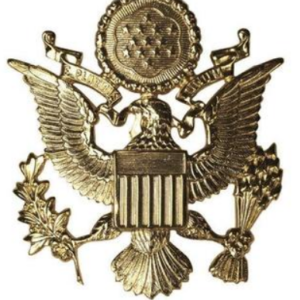 US ARMY CAP BAdges Gold